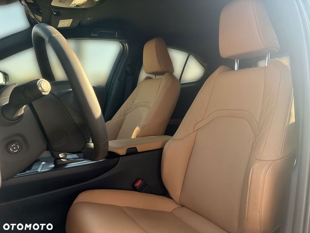 Lexus UX 300h F Sport Design AWD - 10