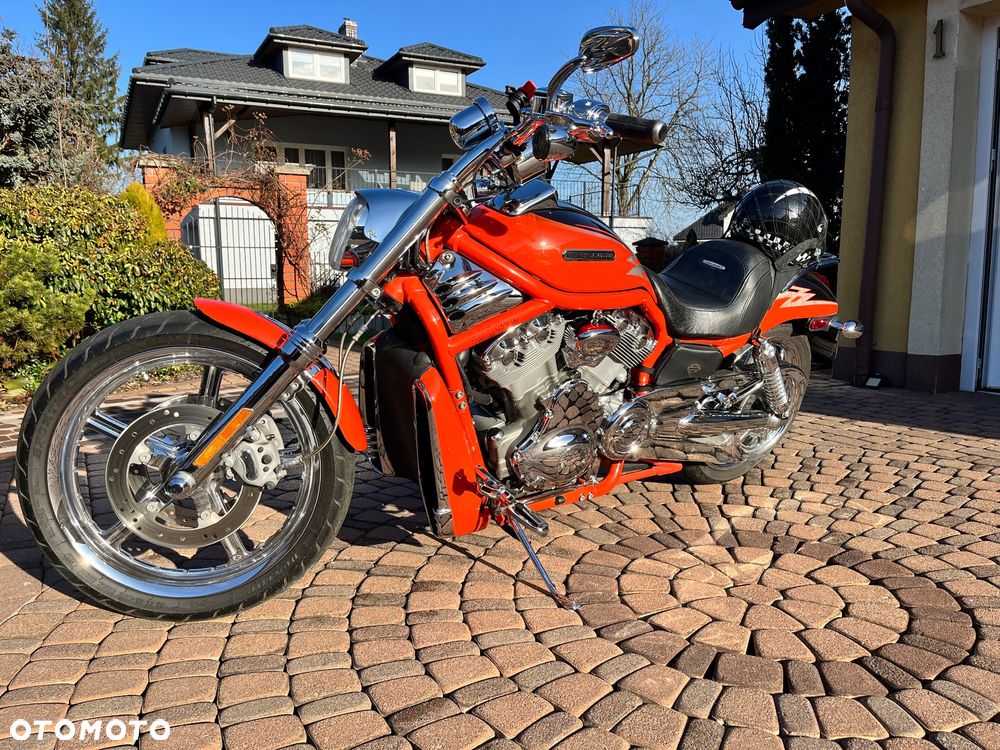 Harley-Davidson Softail V-Rod - 16