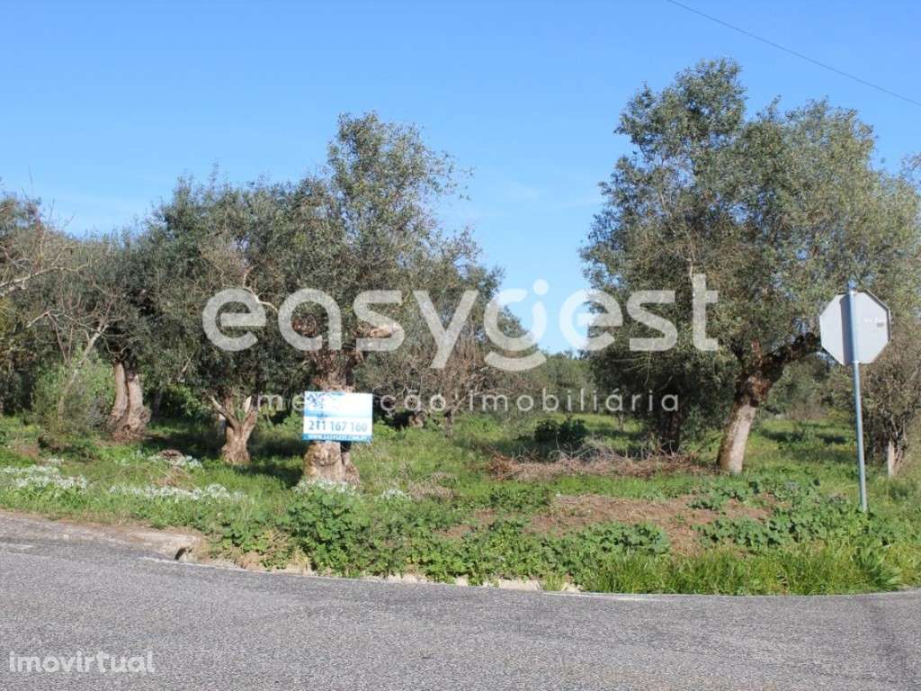 Moradias para recuperar com Logradouro e Terreno - Grande imagem: 3/16