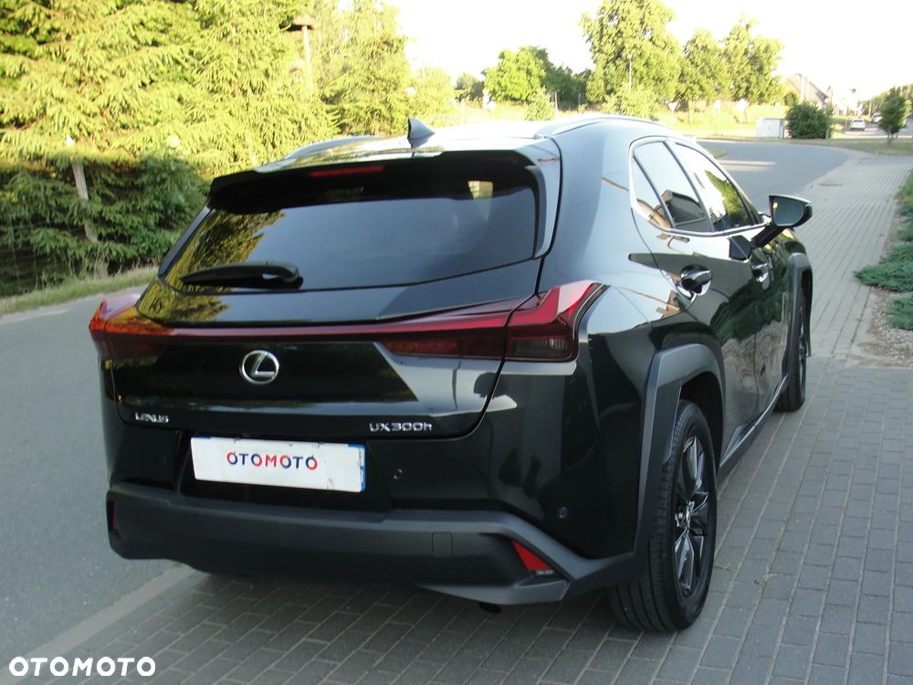 Lexus UX 300h Omotenashi - 3