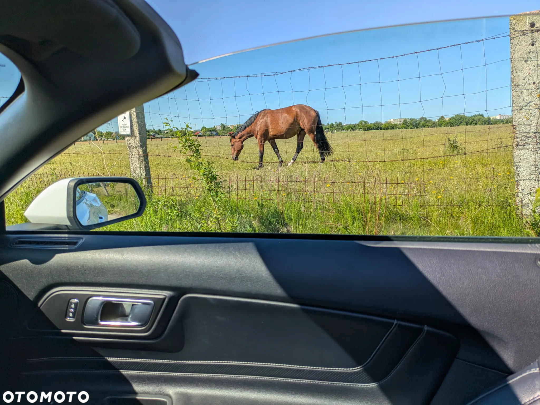 Ford Mustang 2.3 EcoBoost - 29