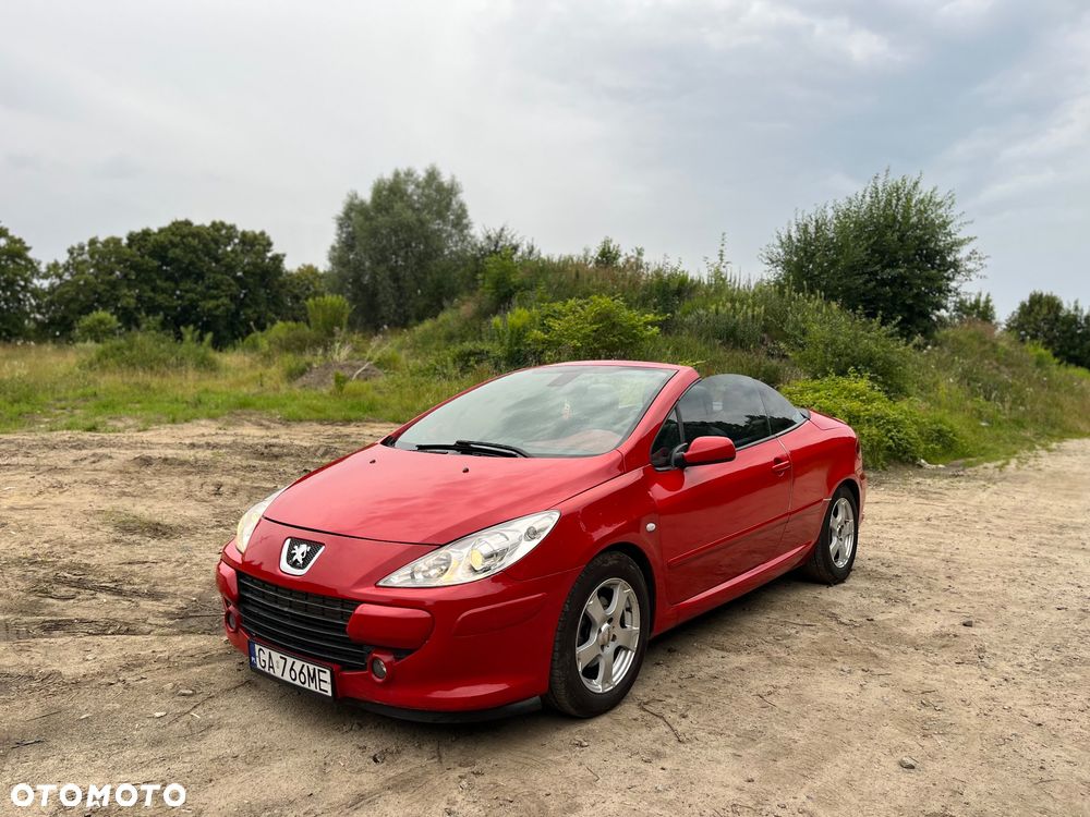 Peugeot 307 CC - 4