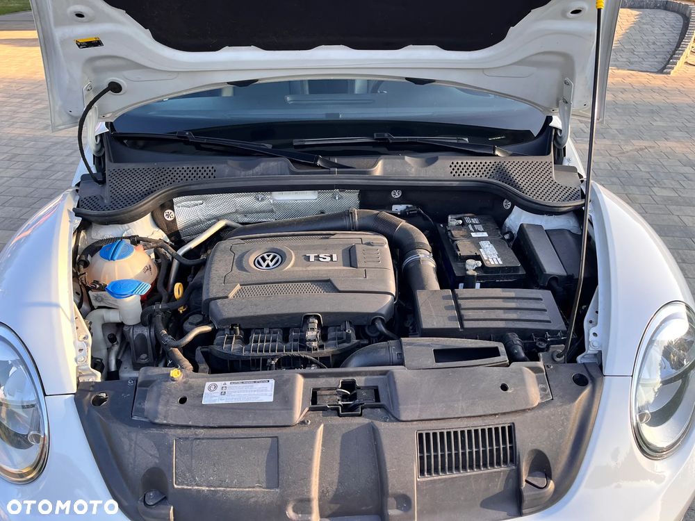 Volkswagen Beetle - 12