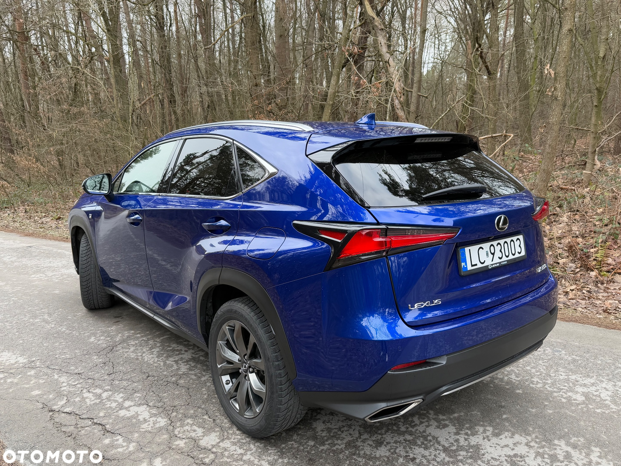 Lexus NX 300 F Sport AWD - 7
