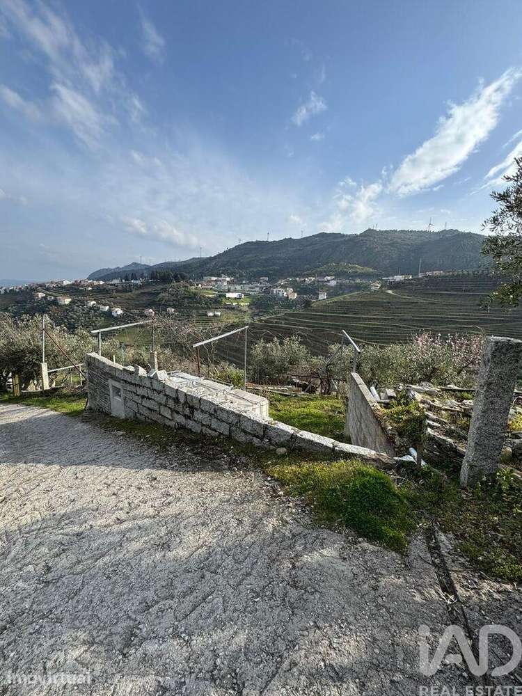 Terreno Agrícola em Tabuaço - Grande imagem: 3/16
