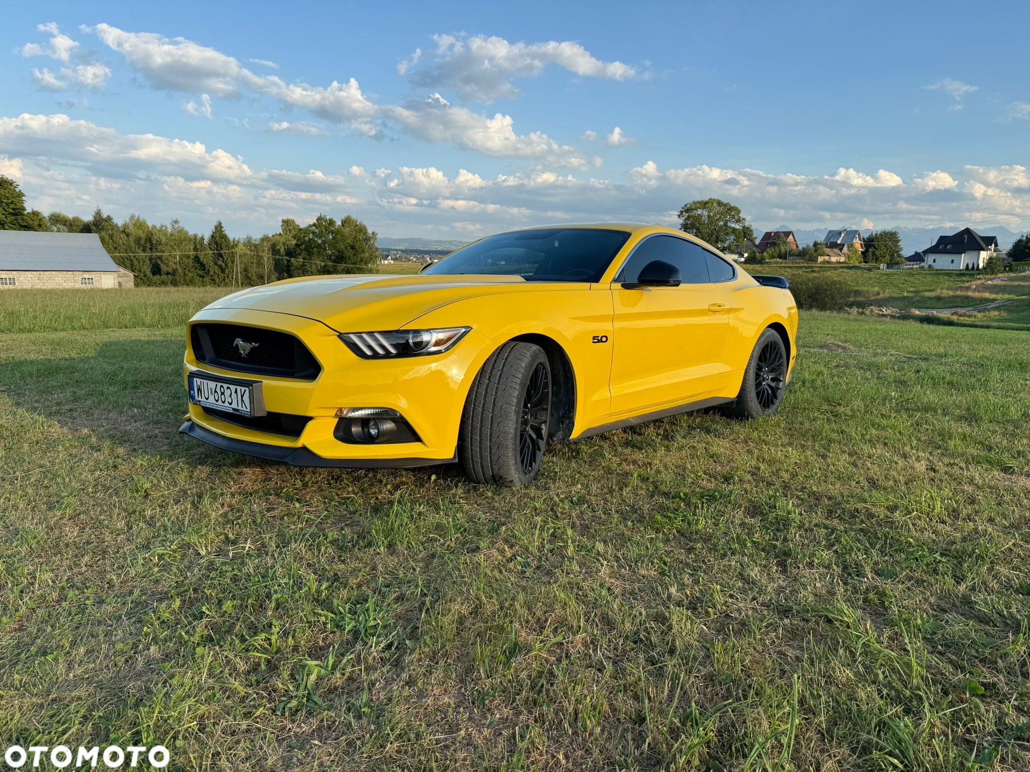 Ford Mustang 5.0 V8 GT - 8