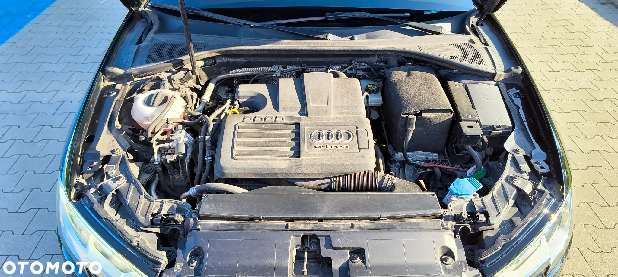 Audi A3 1.4 TFSI g-tron Sportback - 24