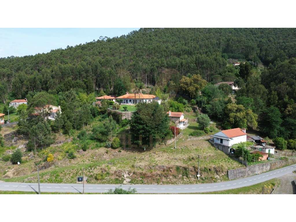 Terreno para Construção 972 m² | Moreira do Lima - Ponte de Lima - Grande imagem: 2/6