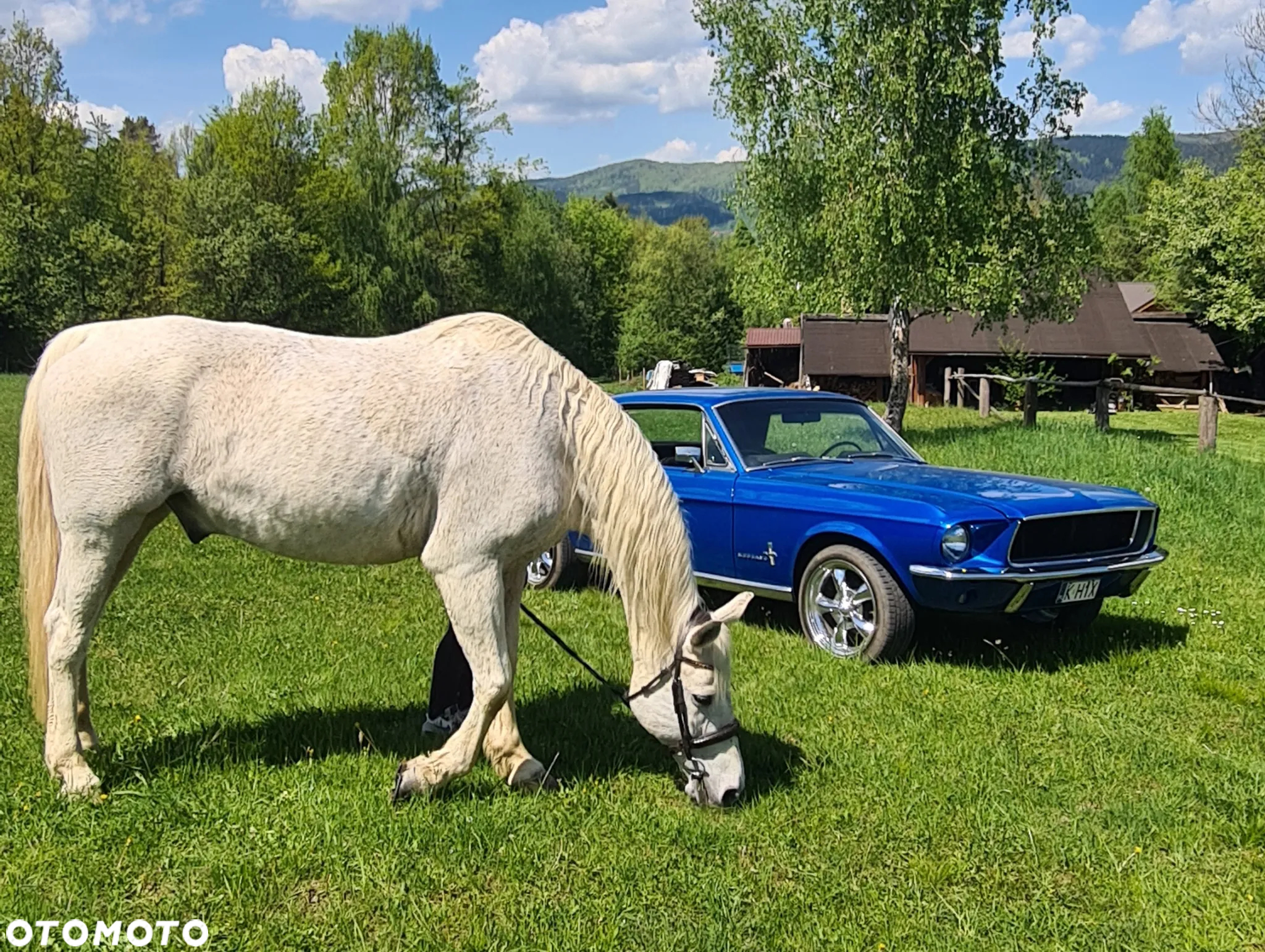 Ford Mustang - 4