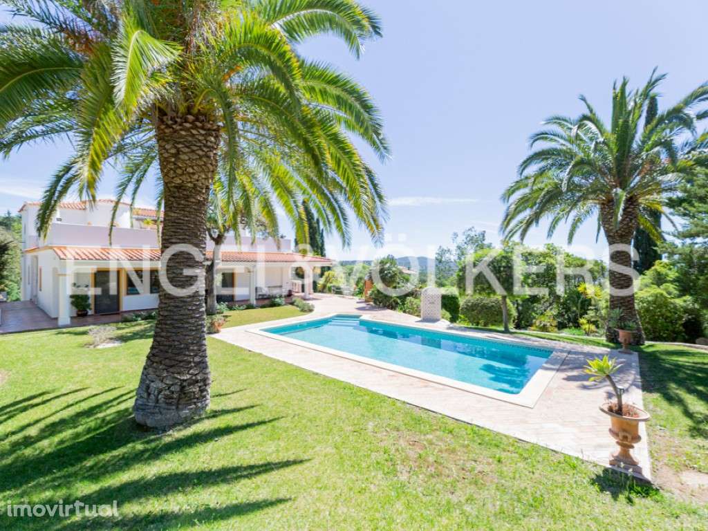 Vista Royale - Grande imagem: 2/56