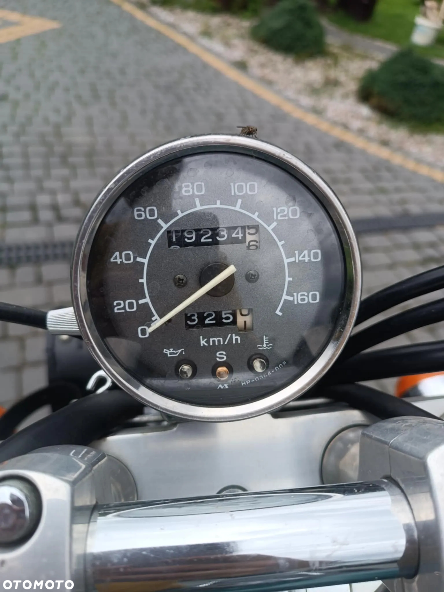 Honda Shadow - 7