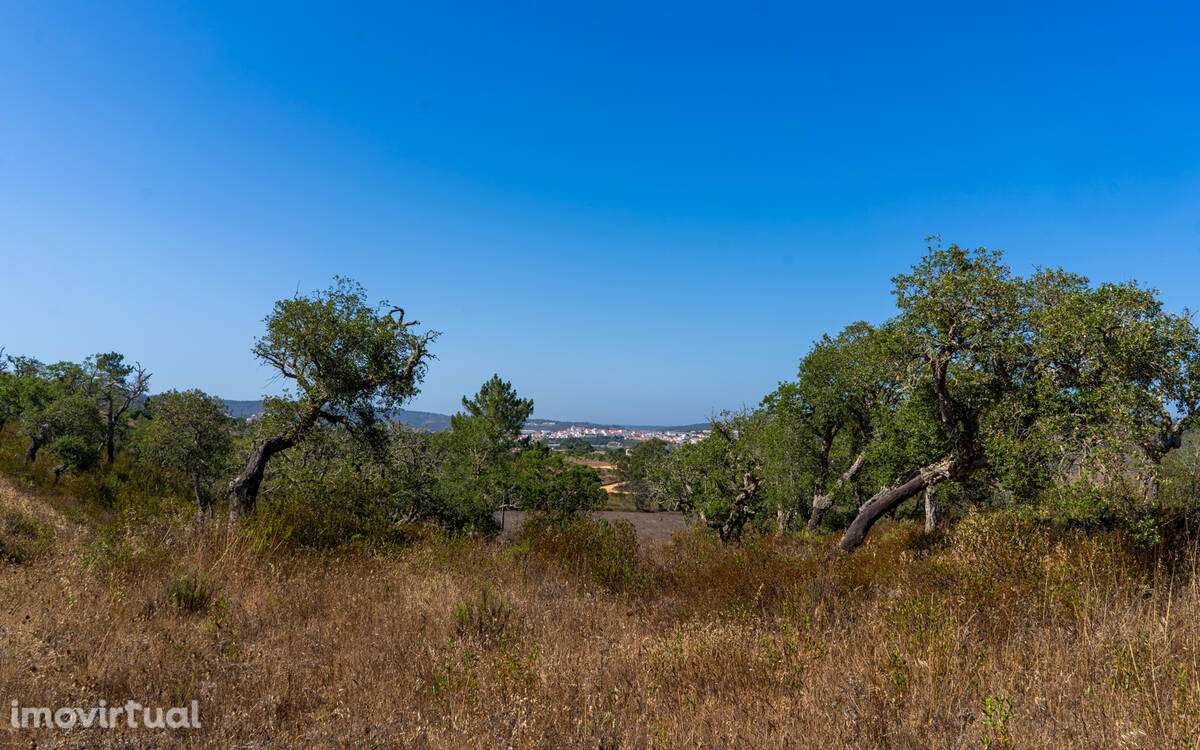 Herdade Moinho Corisco - Grande imagem: 4/16