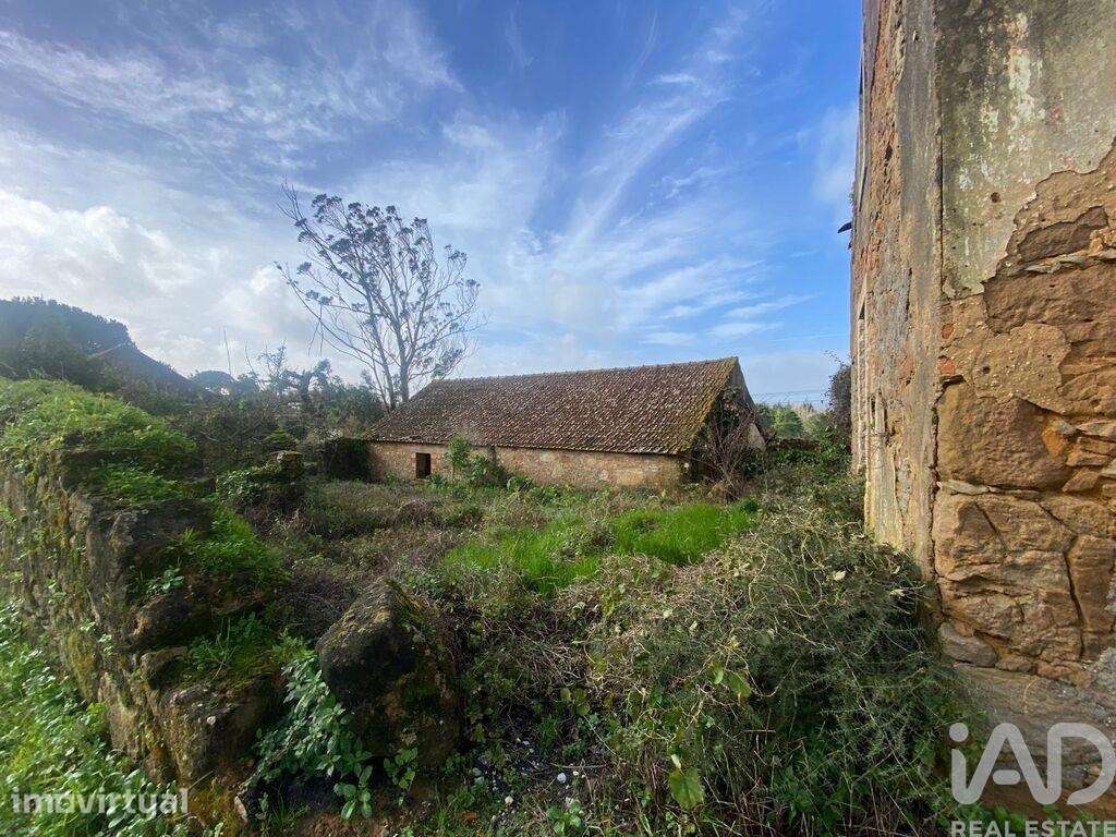 Casa de Campo em Roliça de 150 m2 - Grande imagem: 5/12