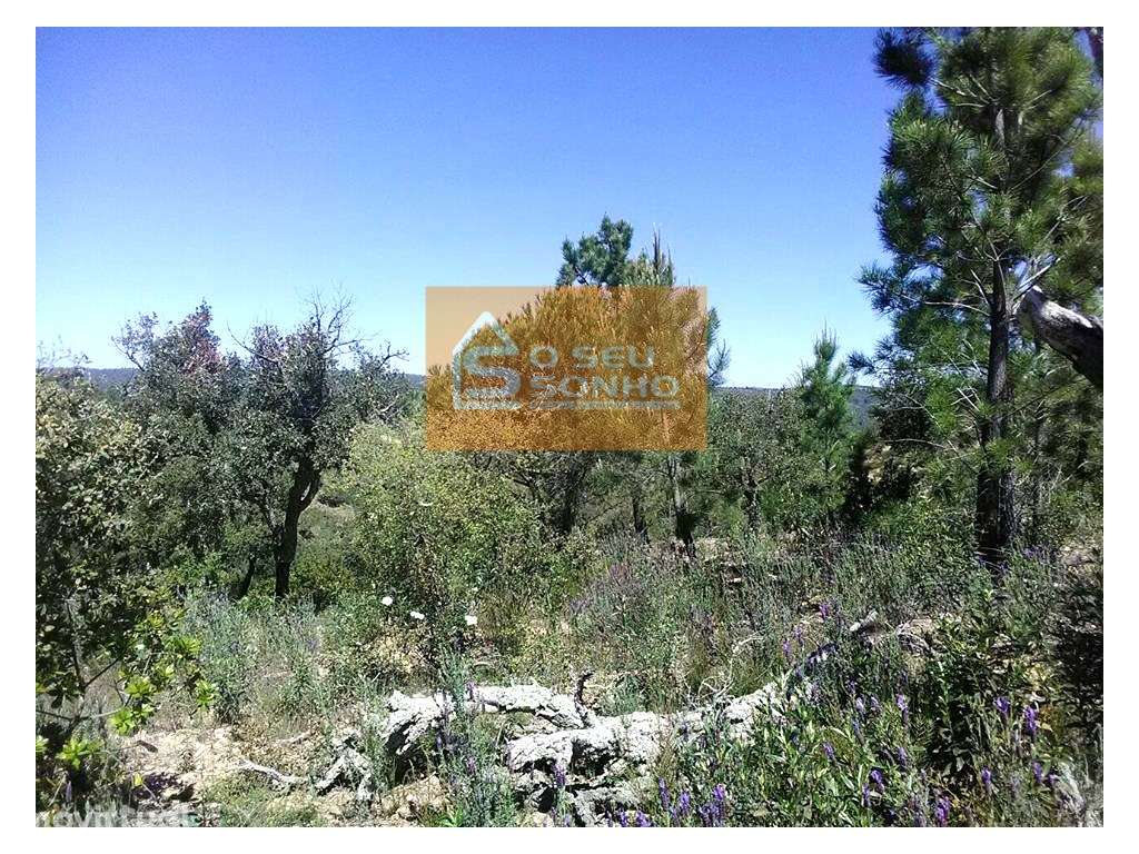 Terreno Rústico no Javali - Grande imagem: 3/6