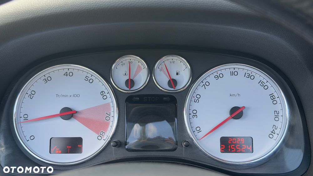 Peugeot 307 - 10