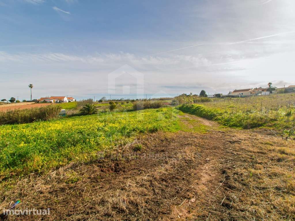 Vende Terreno - Ericeira 13 km, A Casa das Casas - Grande imagem: 4/13