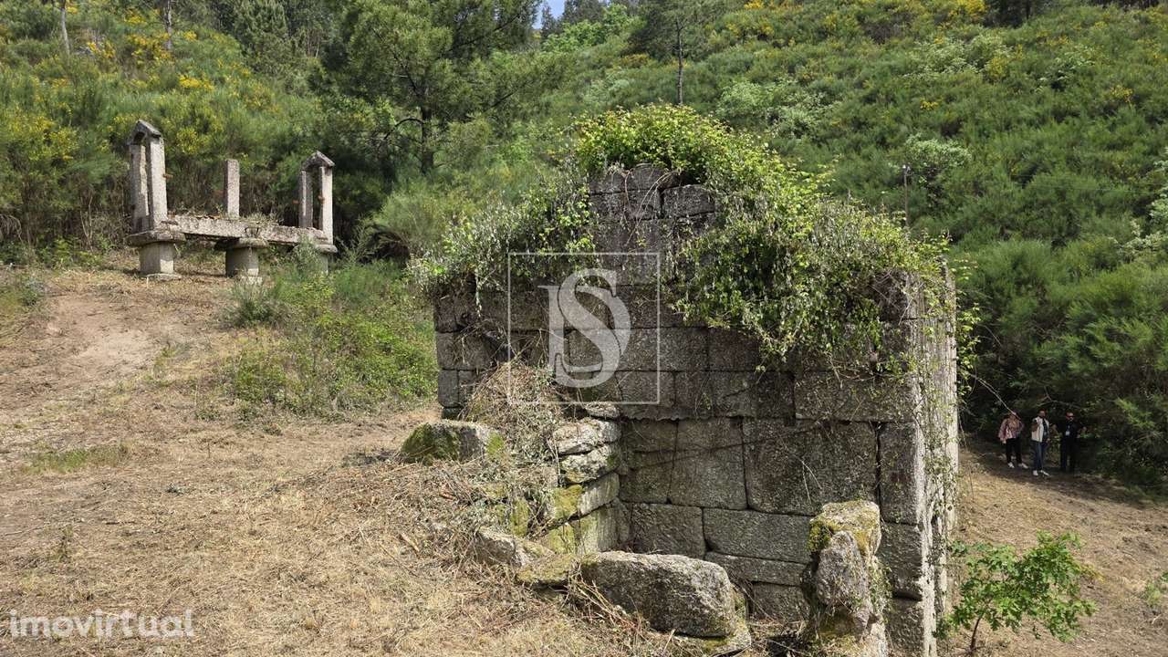 Quinta da Pinha em Bustelo - Amarante - Grande imagem: 3/23