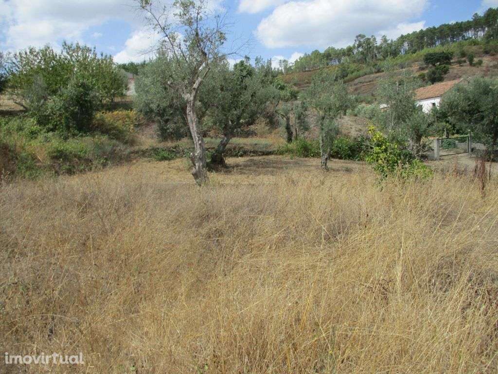 Terreno - Grande imagem: 2/5