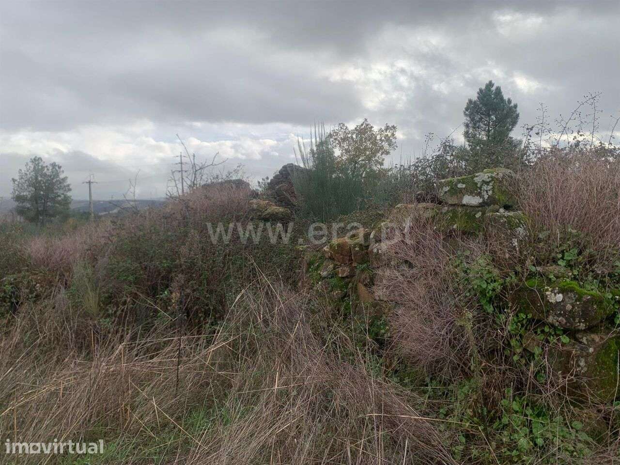 Quintinha T1 / Fundão, Pêro Viseu - Grande imagem: 2/12