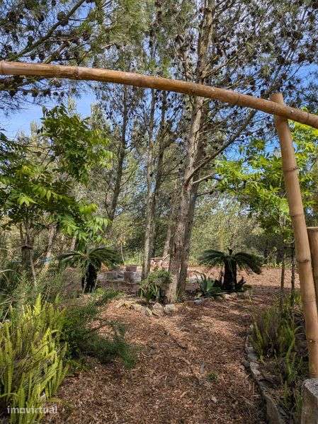 Quinta em Cascais - Grande imagem: 5/6