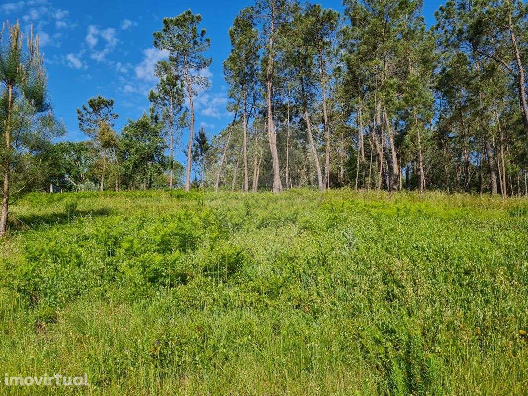 Moradia T2 para venda - Grande imagem: 5/8