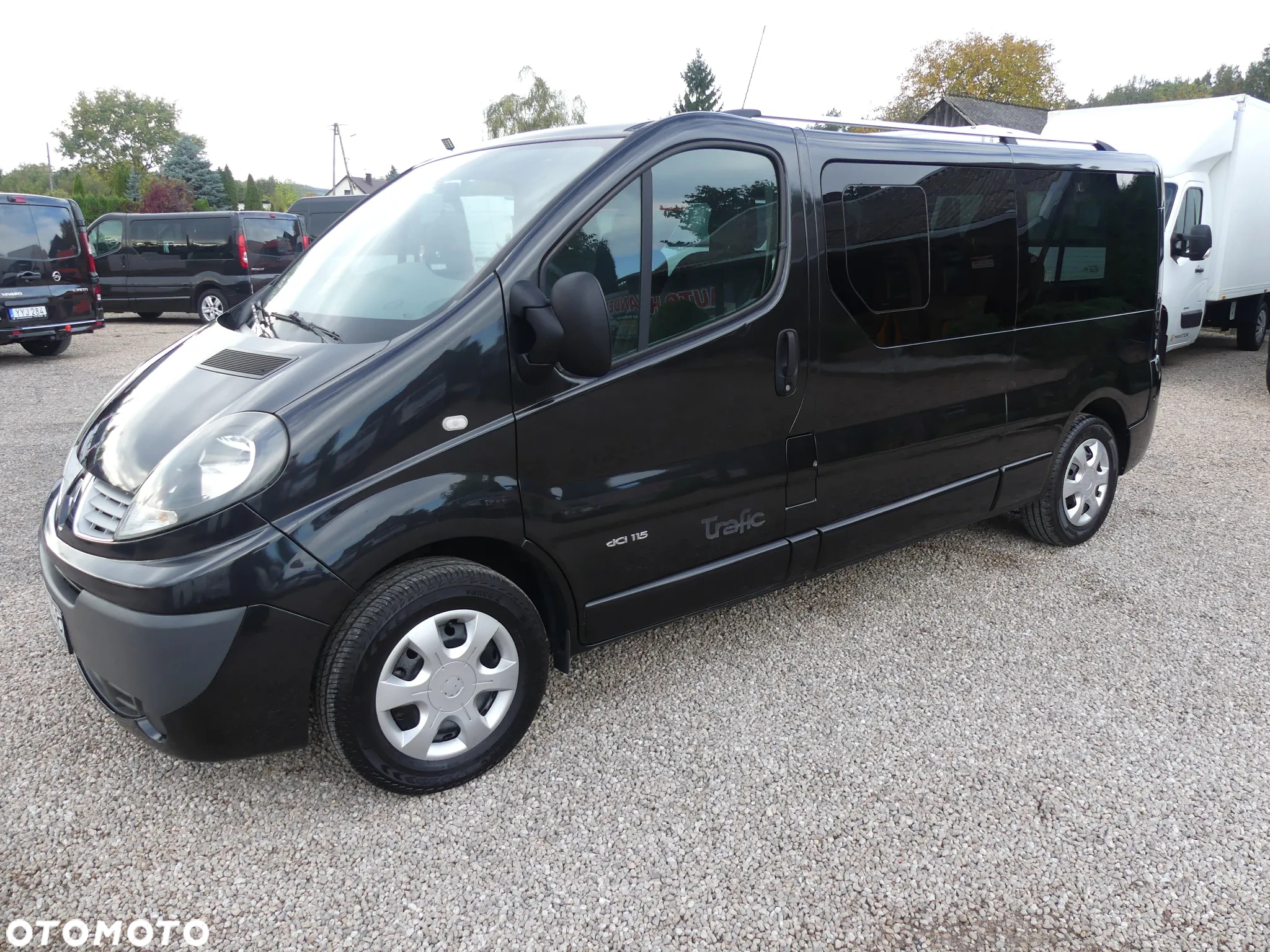 Renault Trafic 2.0 dCi 115 FAP Grand Passenger Black Edition - 29