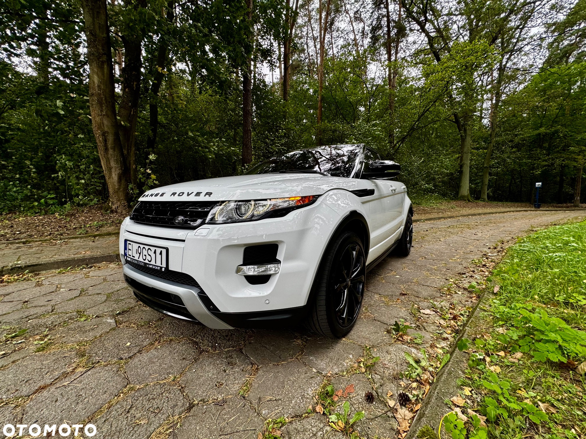Land Rover Range Rover Evoque 2.0Si4 SE Dynamic - 28