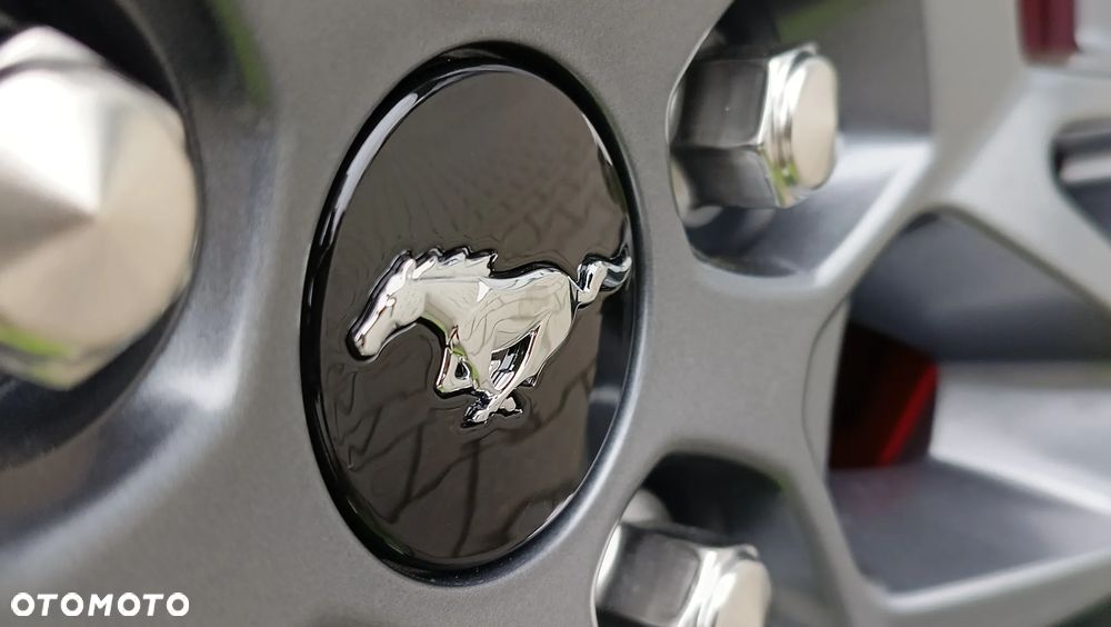 Ford Mustang - 20