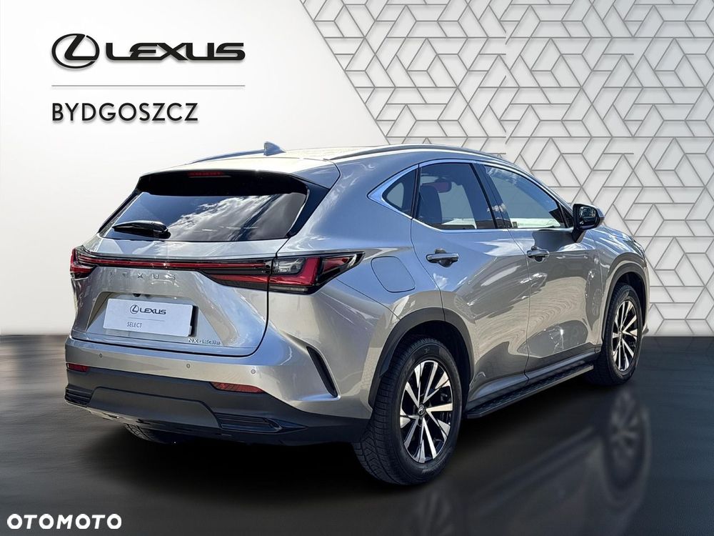 Lexus NX - 6