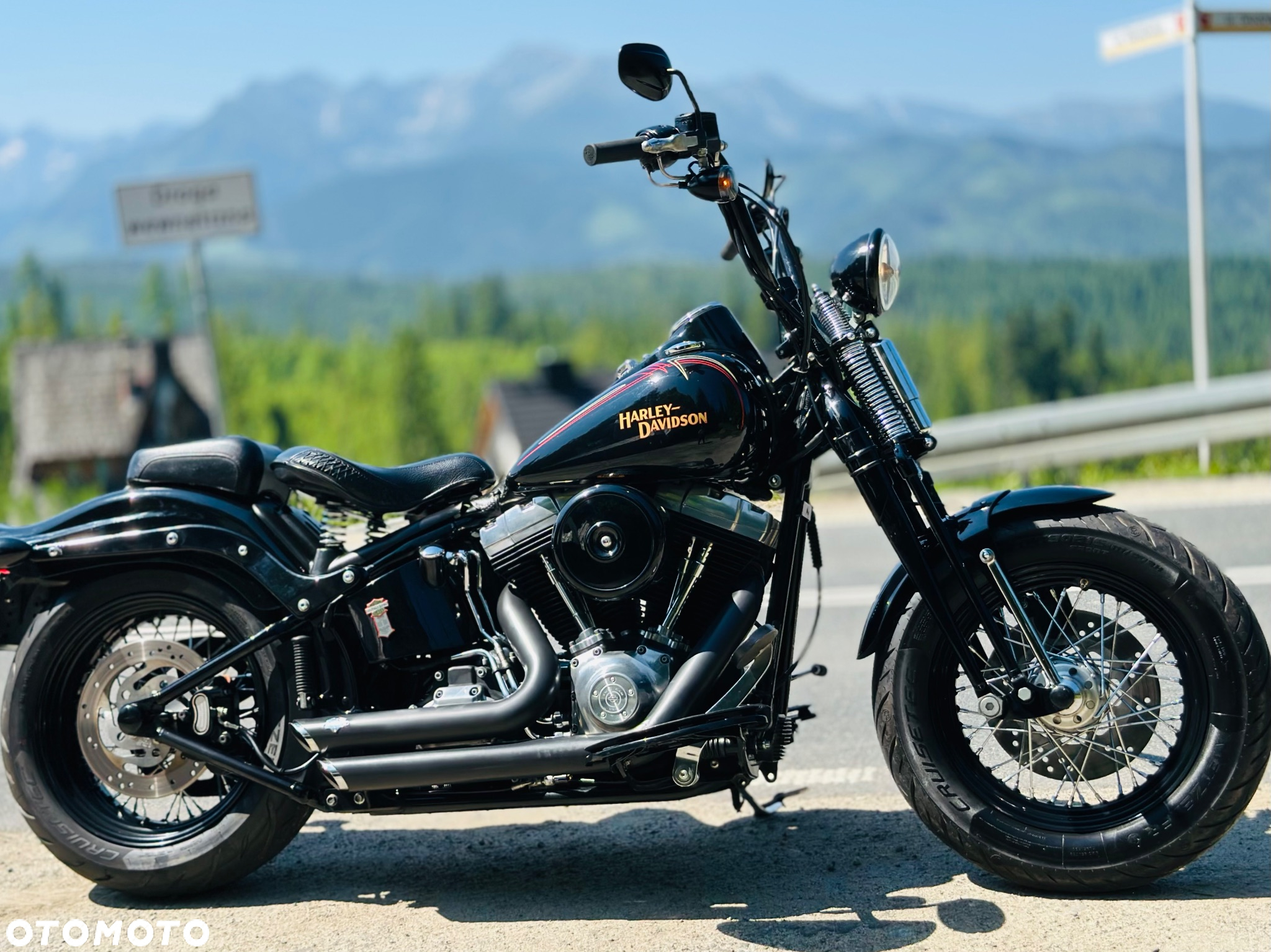 Harley-Davidson Softail Cross Bones - 5