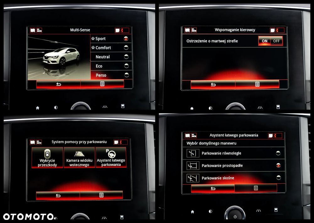 Renault Megane - 36