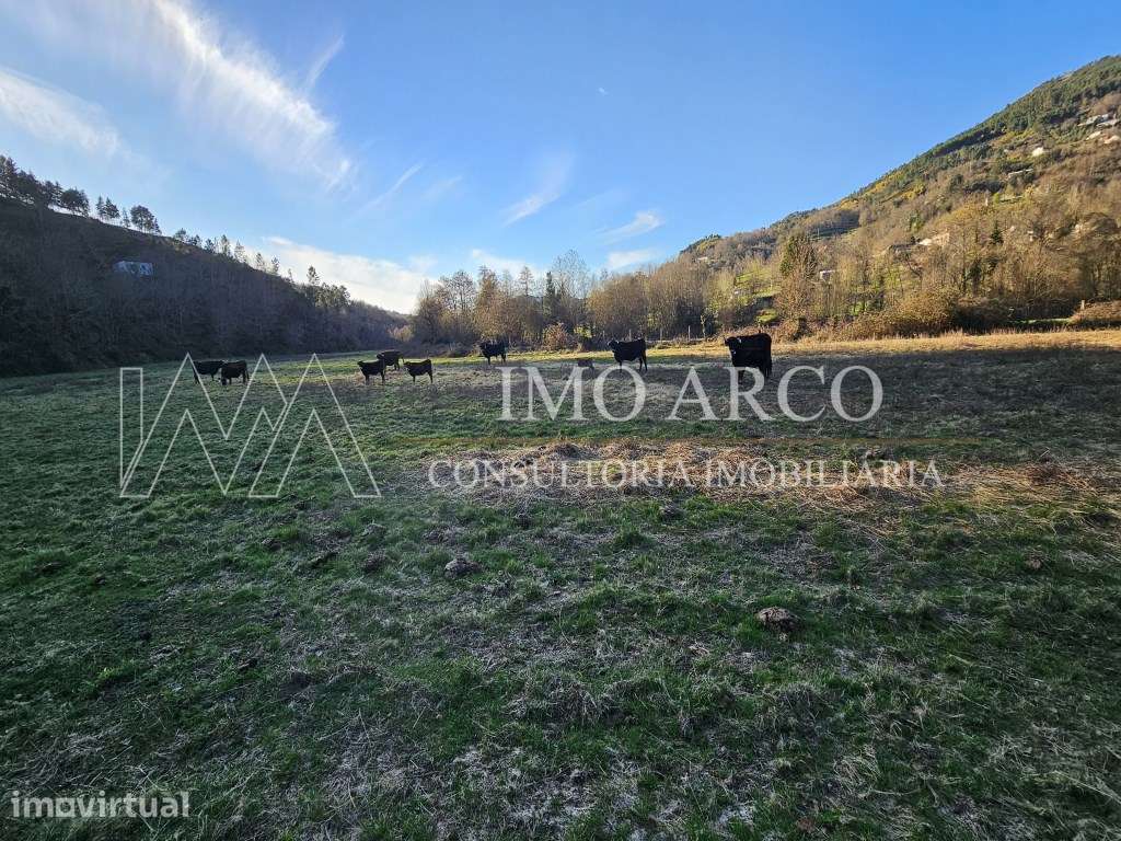 Quinta Rural - Grande imagem: 4/34