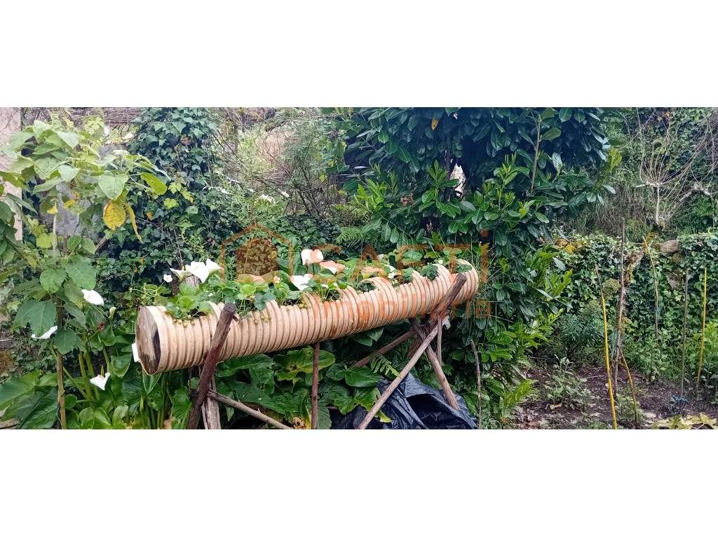 Moradia de montanha - Grande imagem: 3/13