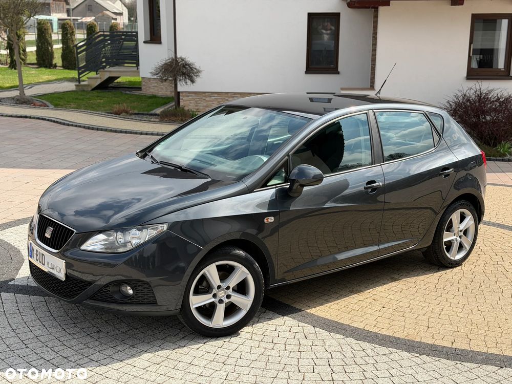 Seat Ibiza - 17