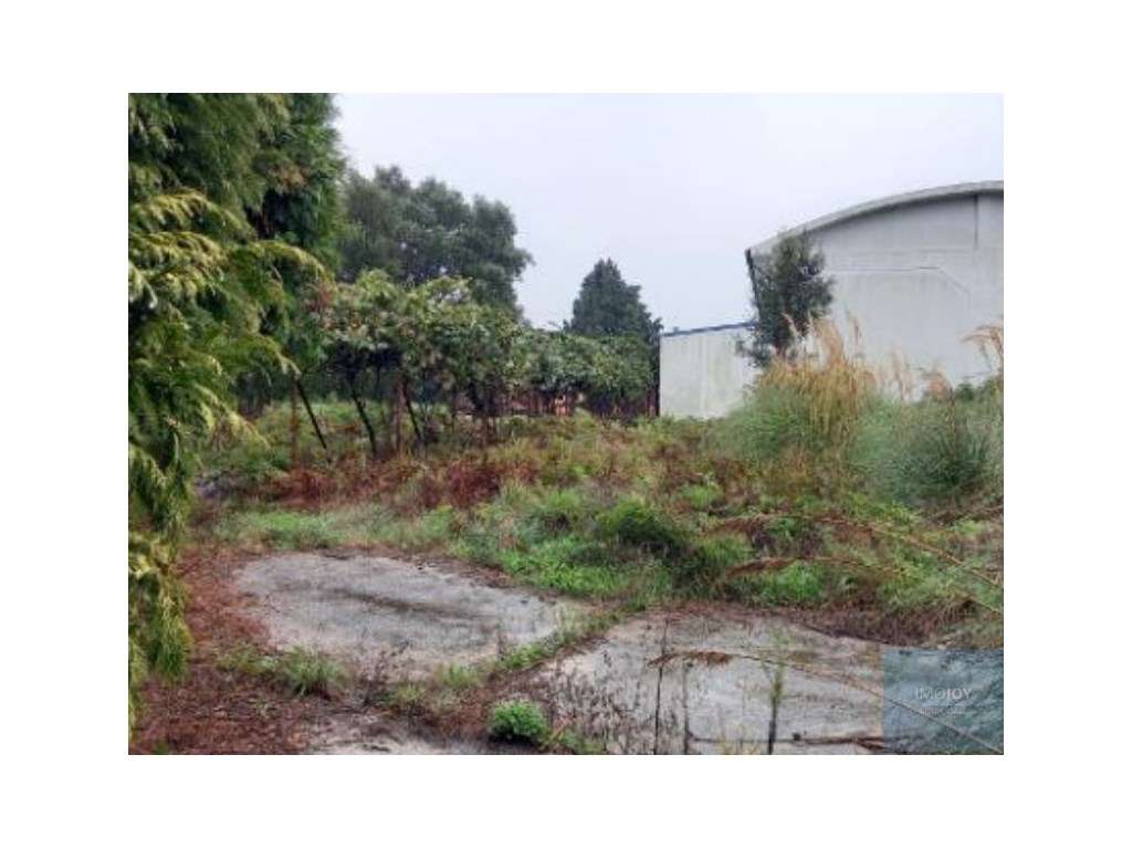 Armazém em Santa Maria da Feira - Grande imagem: 3/18