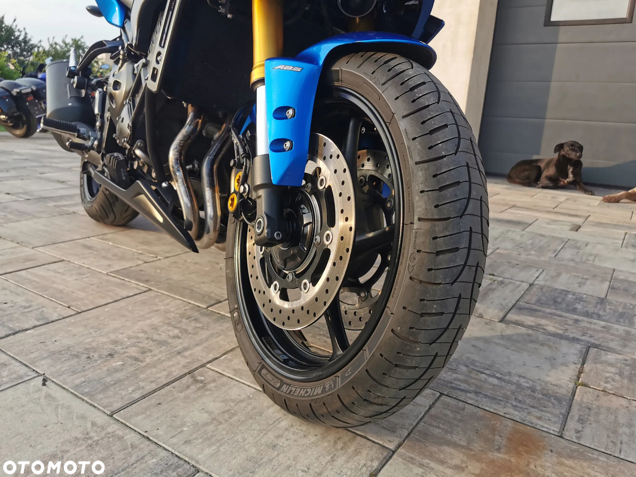 Yamaha FZ8 - 25