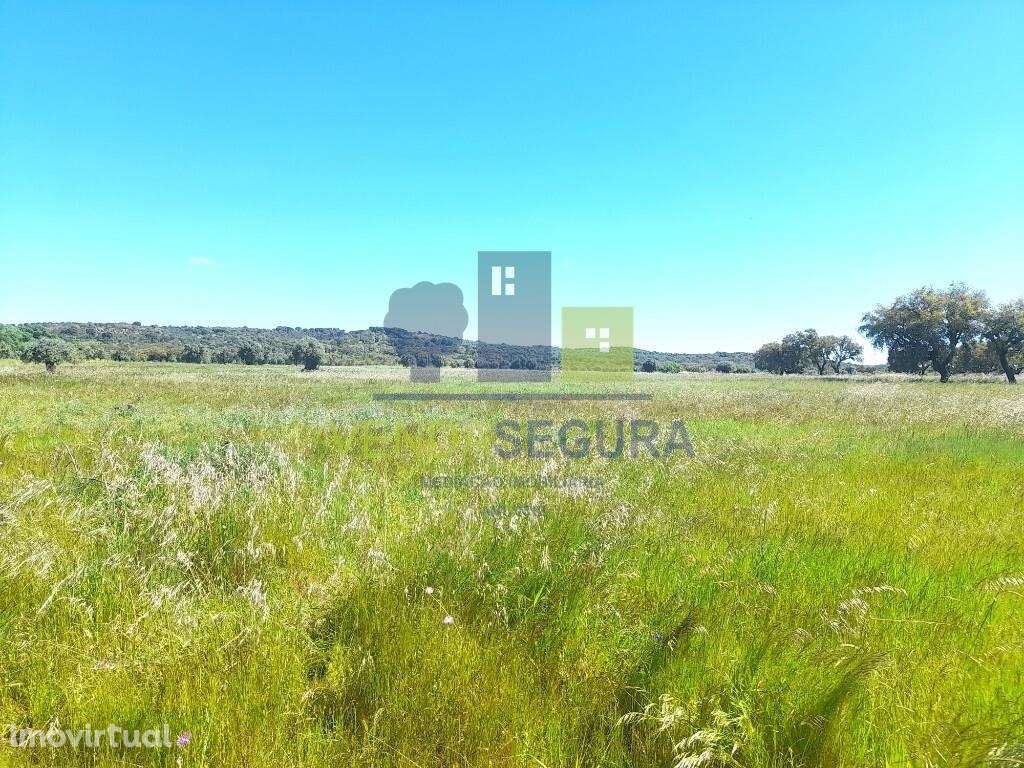 Terreno rústico | V.N.Baronia - Grande imagem: 5/7