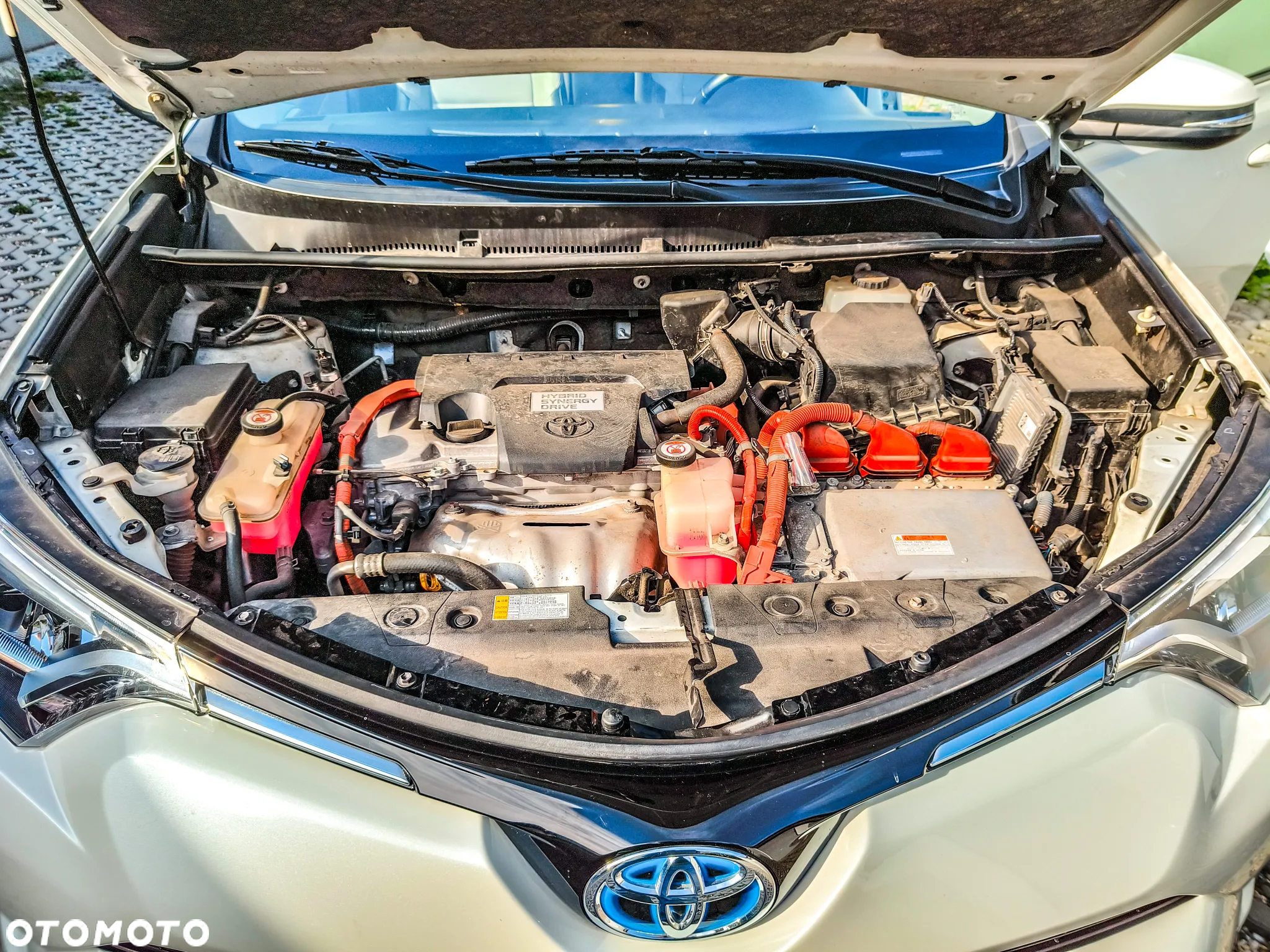 Toyota RAV4 - 6