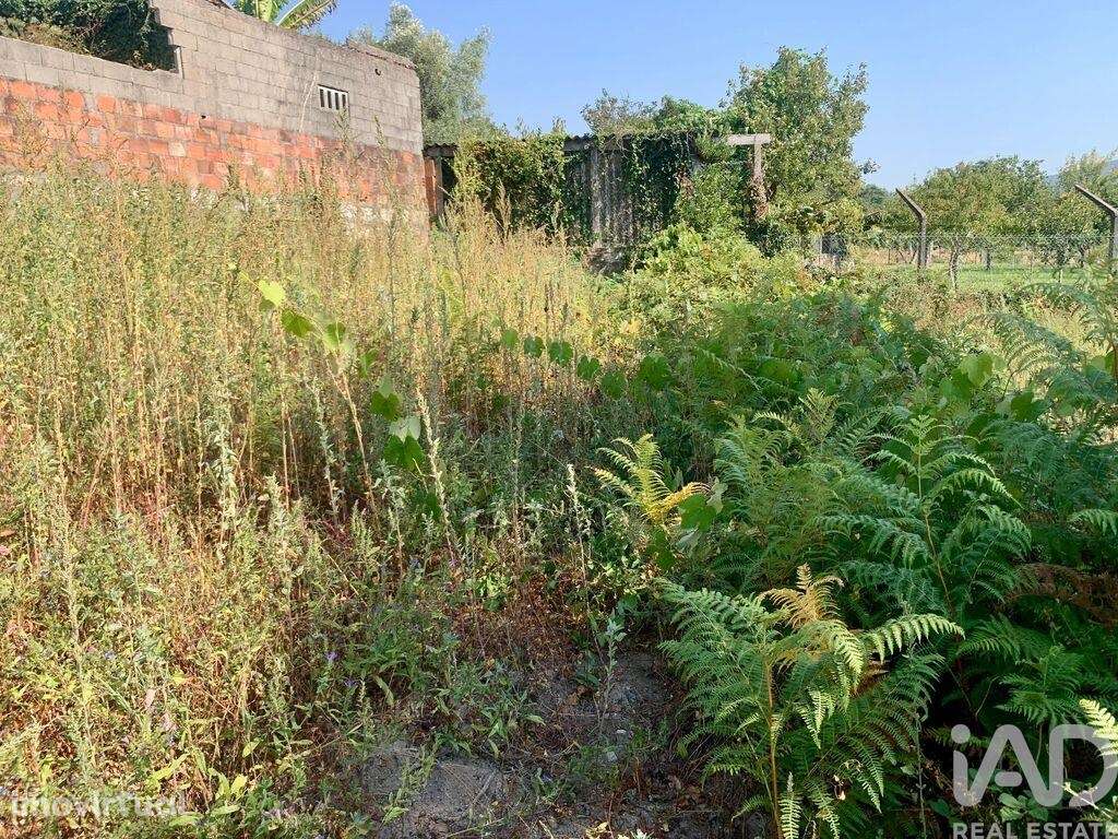 Terreno em Riba de Âncora de 300,00 m2 - Grande imagem: 3/11