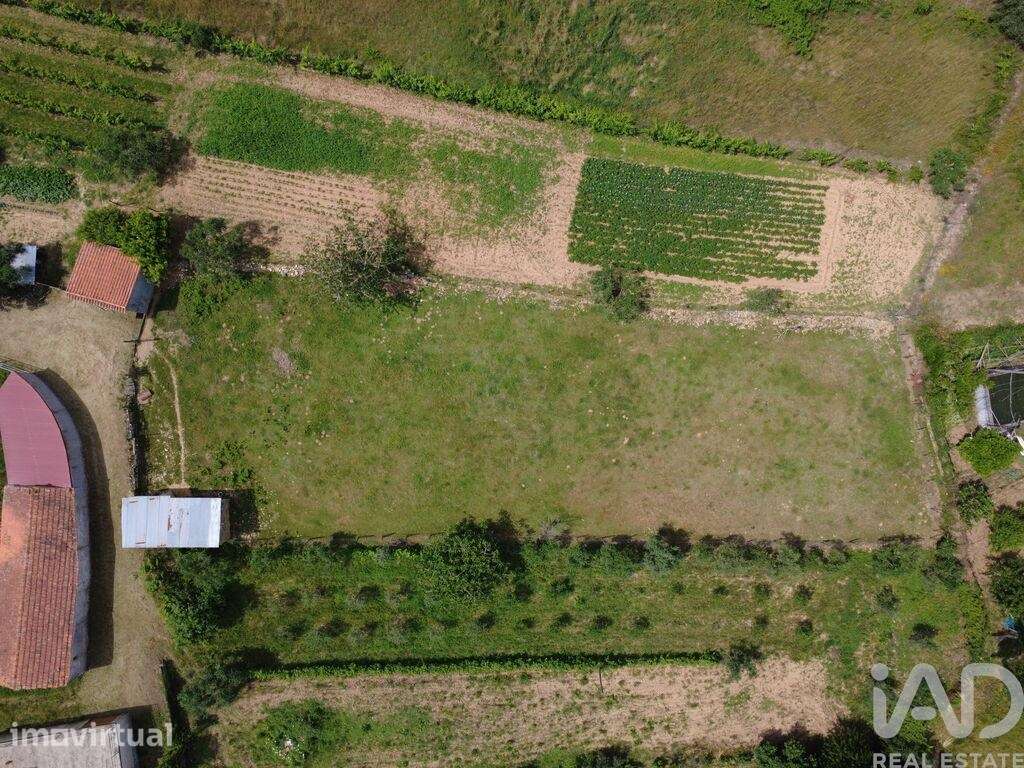 Terreno para construção em Poiares - Grande imagem: 5/39