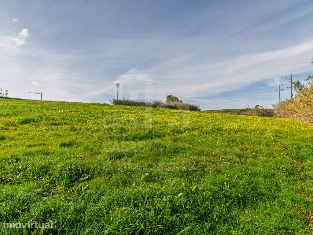 Vende Terreno - Ericeira 13 km, A Casa das Casas - Grande imagem: 5/13