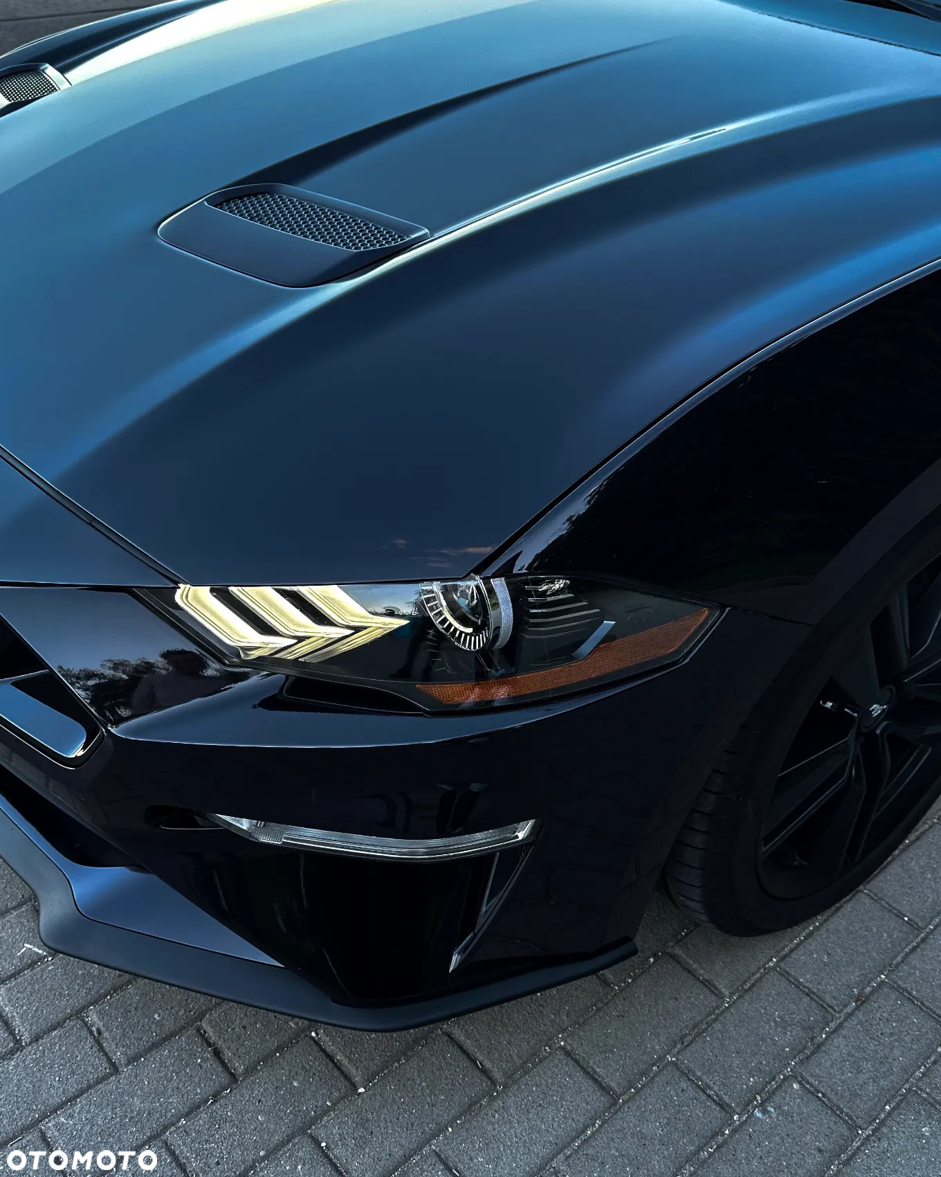 Ford Mustang Fastback 5.0 Ti-VCT V8 Dark Horse - 15