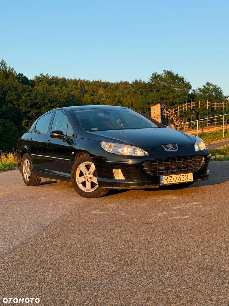 Peugeot 407 - 17