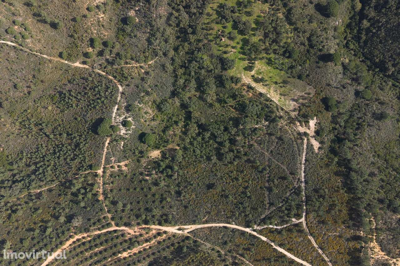 Herdade de 10 hectares em Melides - Grande imagem: 3/22