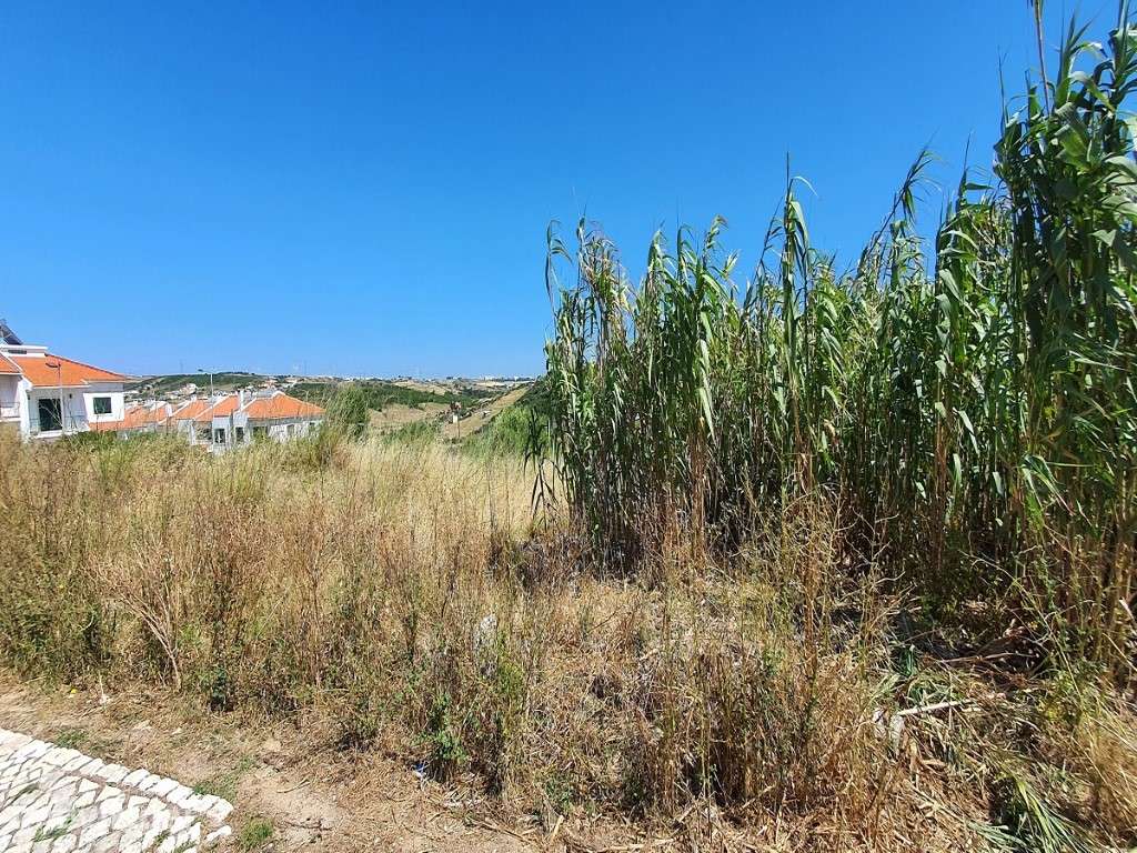 Terreno para Venda em Varge Mondar, Sintra - Grande imagem: 3/5