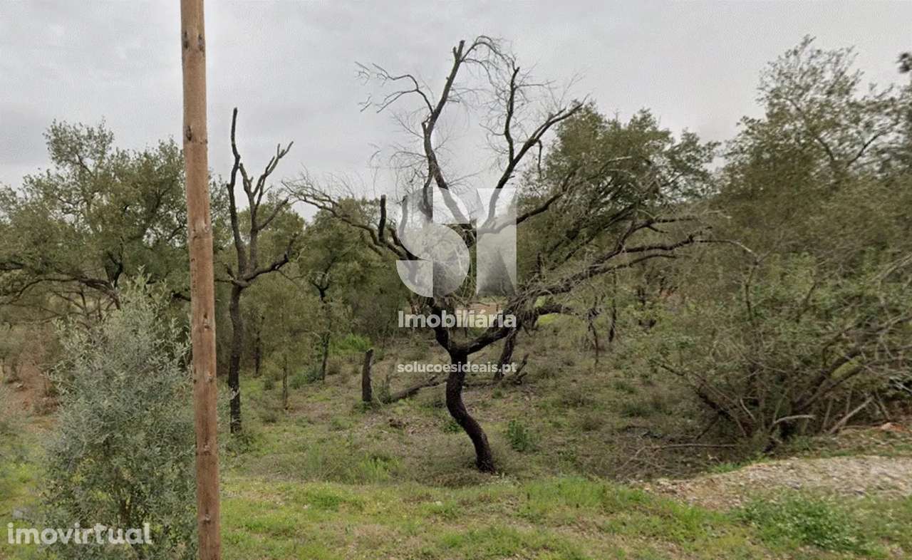 Terreno em Vila nova de poiares - Grande imagem: 3/4