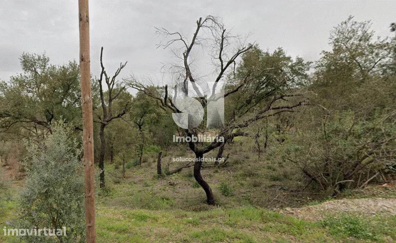 Terreno para construção / Couchel - Vila Nova de Poiares - Grande imagem: 3/4