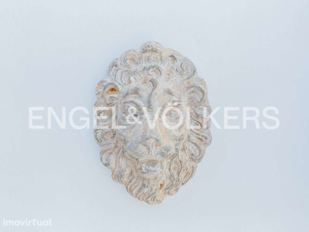 Lion House - Grande imagem: 2/45