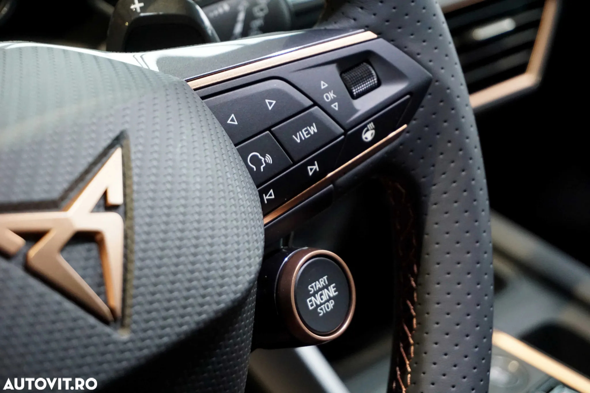 Cupra Formentor - 17