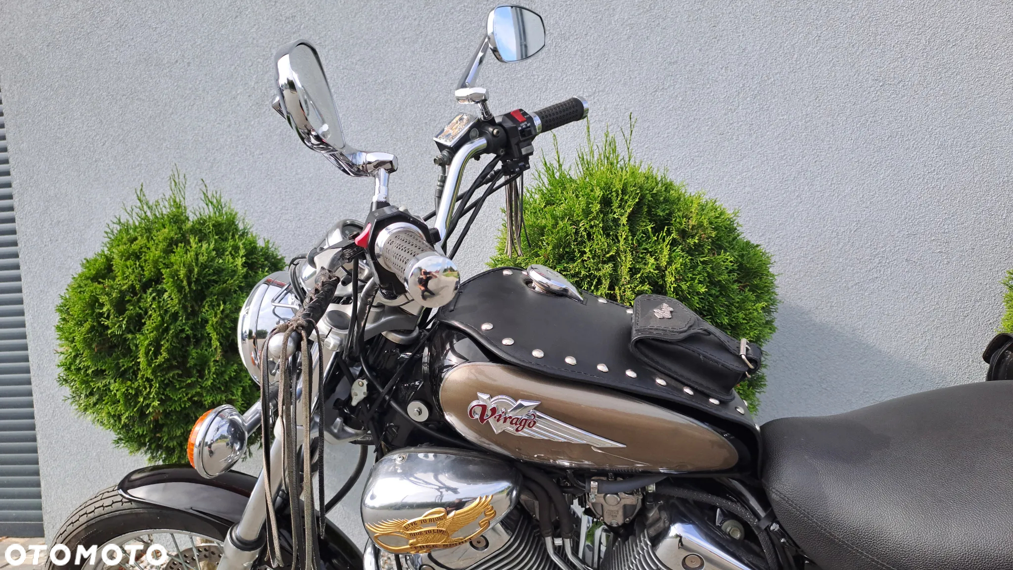 Yamaha Virago - 25